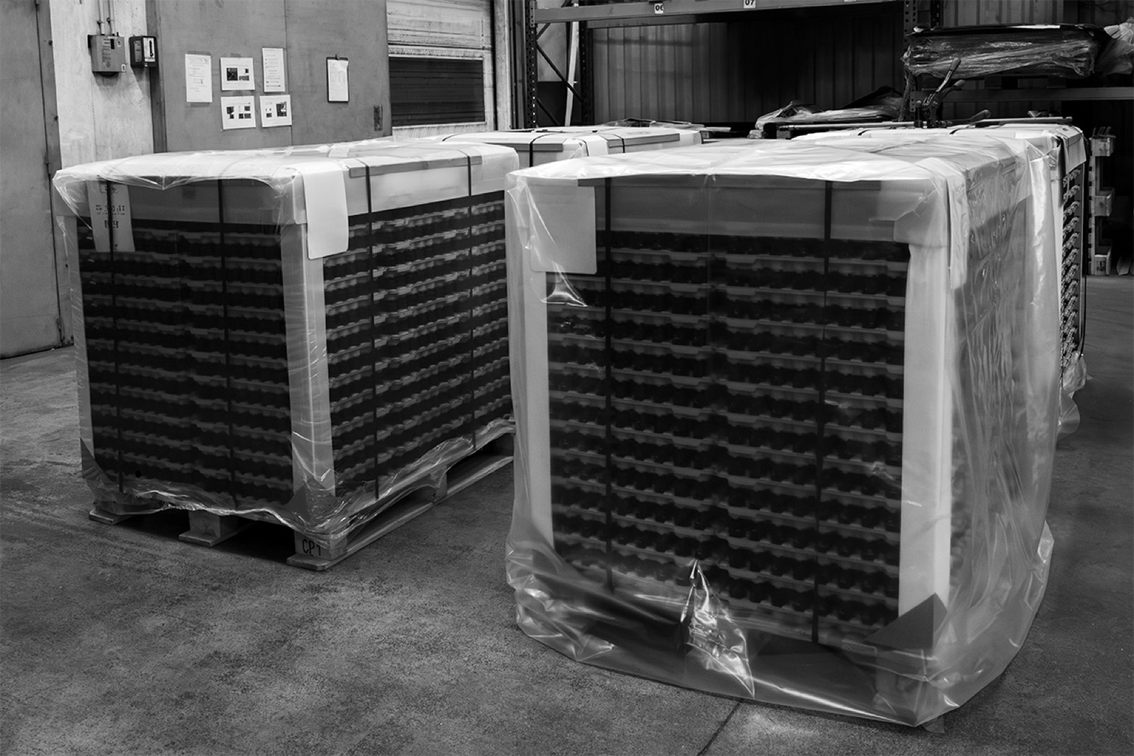 Wrapped pallets of trays, ready for dispatch
